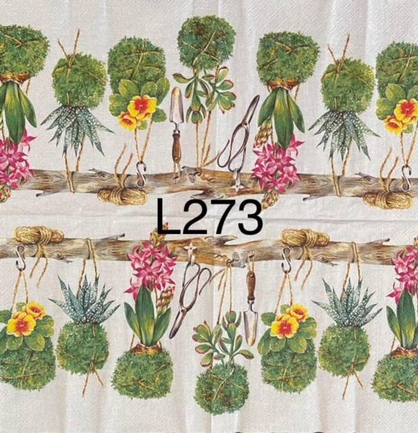 Plants (L273) - Hanging Plants