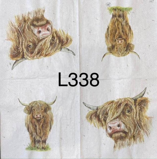 Cows (L338/821) - Highland Cow