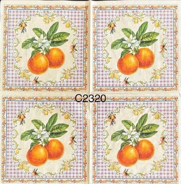 Fruits (C2320) - Orange Bunches