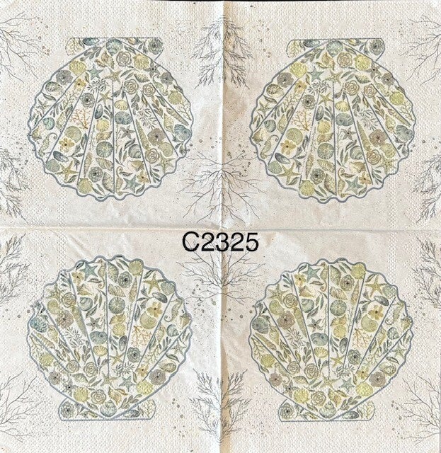Beach (C2325) - Clam Shell with Shells Inside