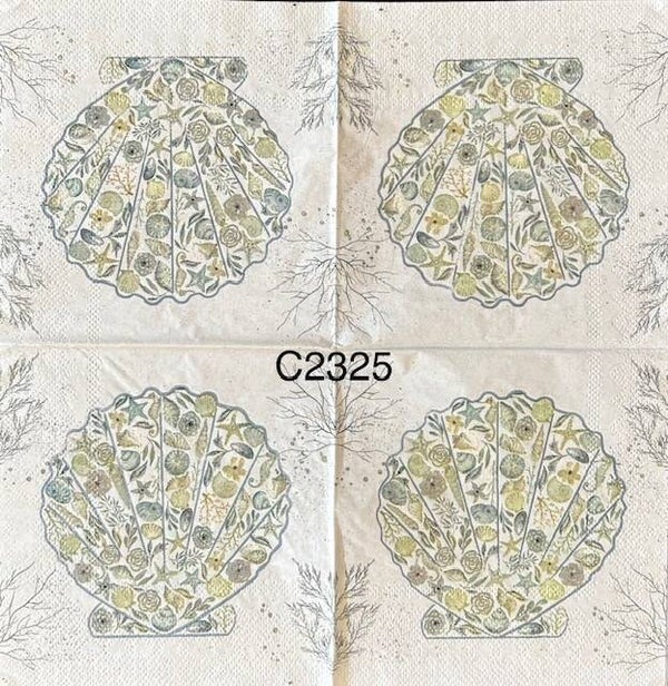 Beach (C2325) - Clam Shell with Shells Inside
