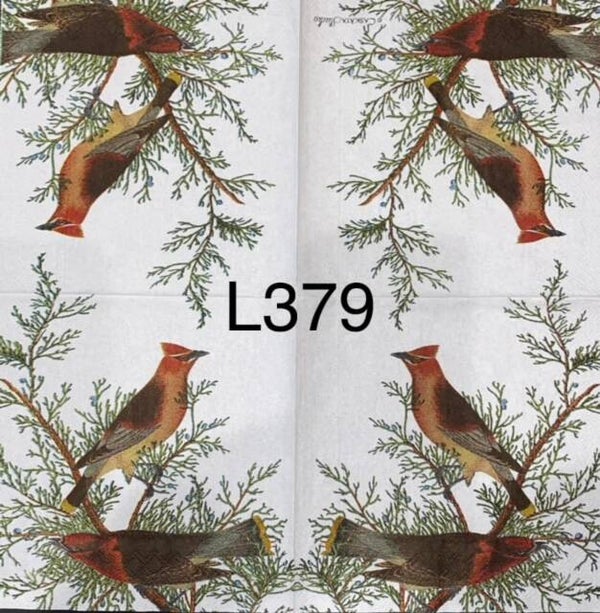 Winter (L379) Two Birds on a Pine Branch