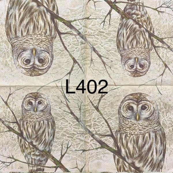 Birds (L402) - Owl