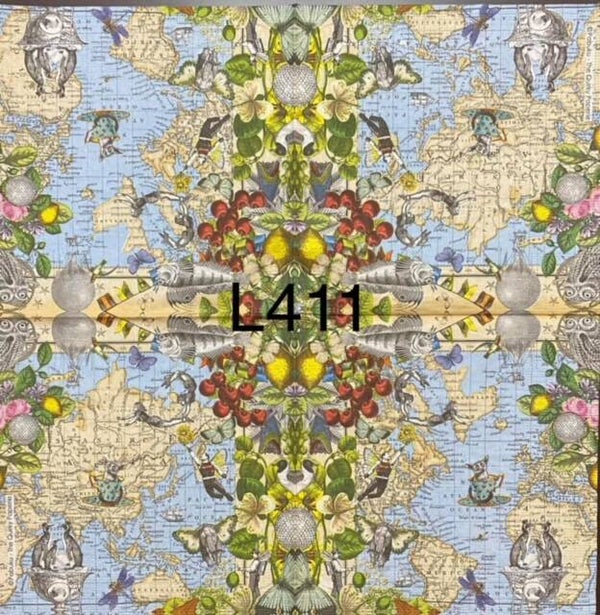 Misc (L411) - Map