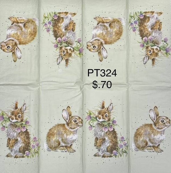 Animals (PT324) - Bunny