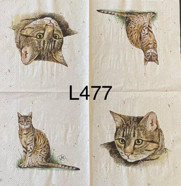 Cats (L477) - Cat