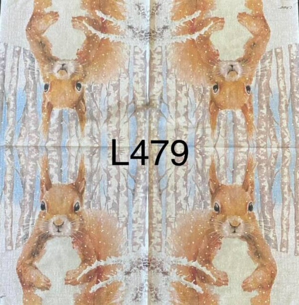 Winter (L479) - Squirrel