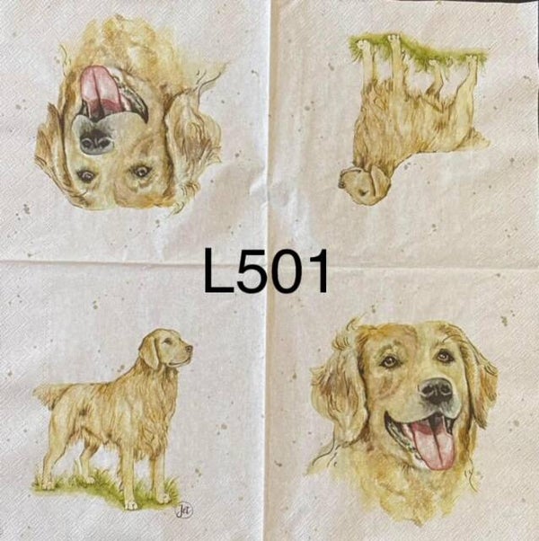 Dogs (L501) - Dog