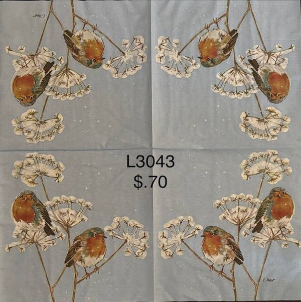 Winter (L3043) - Two Robins Sitting on a White Flower Branch