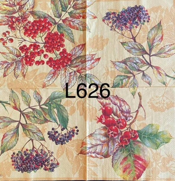 Fruits (L626) - Berries