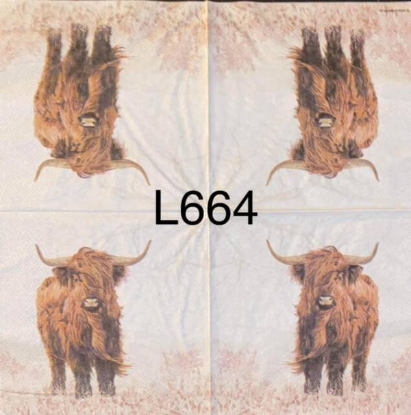 Cows (L664) - Highland Cow