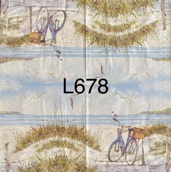 Beach (L678) - Bicycle at the Beach