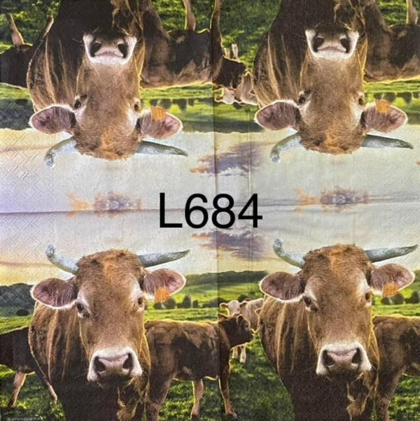Cows (L684) - Cows