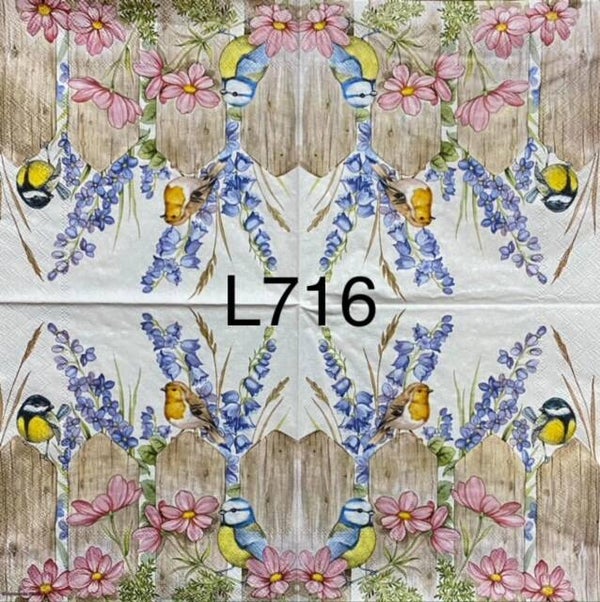 Birds (L716/836) - Three Birds on Fence