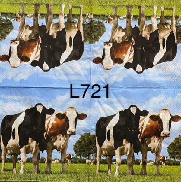 Cows (L721) - Cows