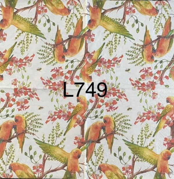 Birds (L749) - Parakeets/Parrots/Sunbirds