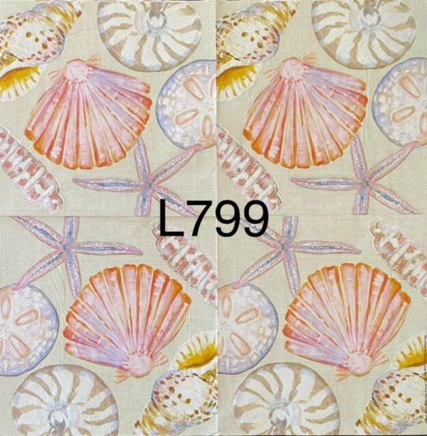 Beach (L799) - Shells