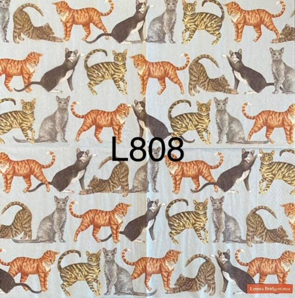 Cats (L808) - Cats