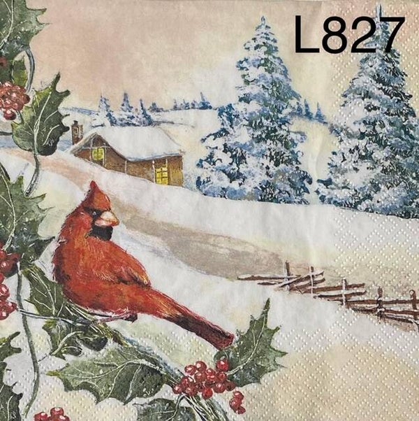 Winter (L827) - Cardinal