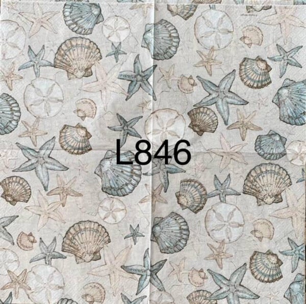 Beach (L846) - Shells