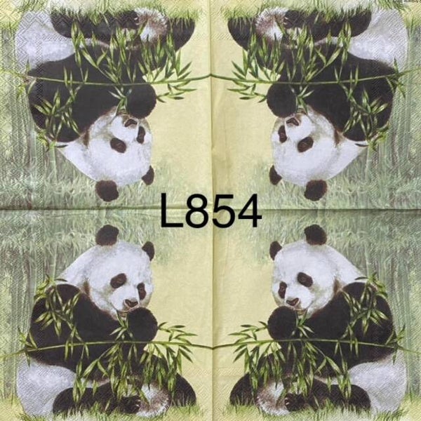 Animals (L854) - Panda Bear