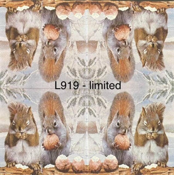 Animals (L919) - Two Squirrels Eating Nuts