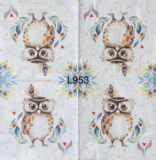 Birds (L953) - Cute Owl with Feather in Head