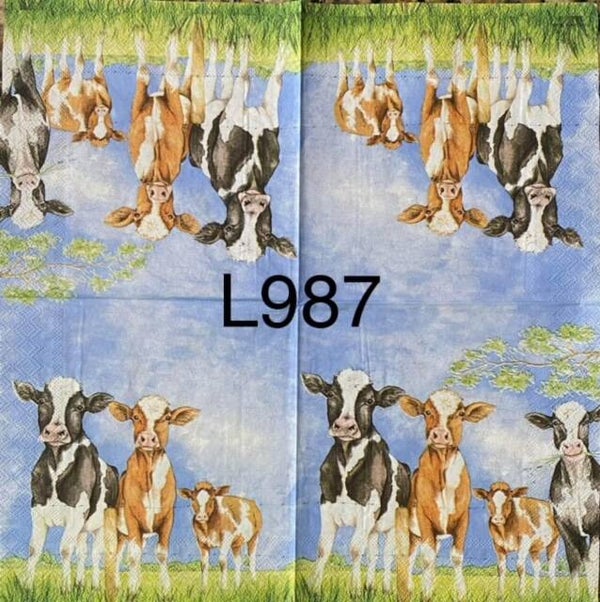 Cows (L987) - Cows in a Pasture