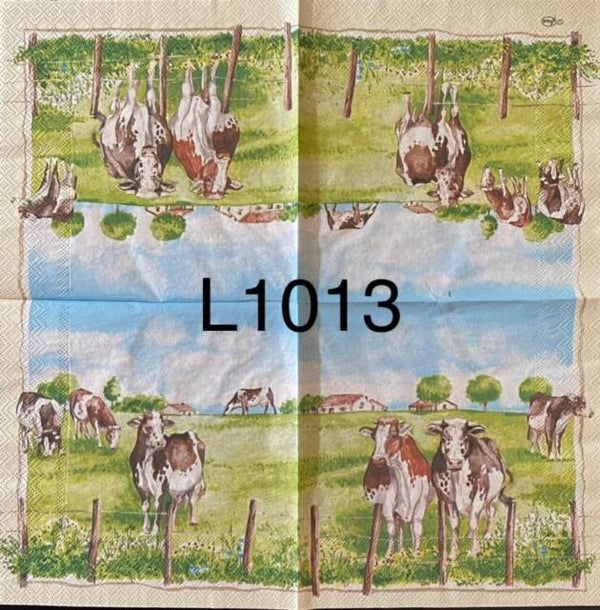 Cows (L1013) - Cows in a Pasture