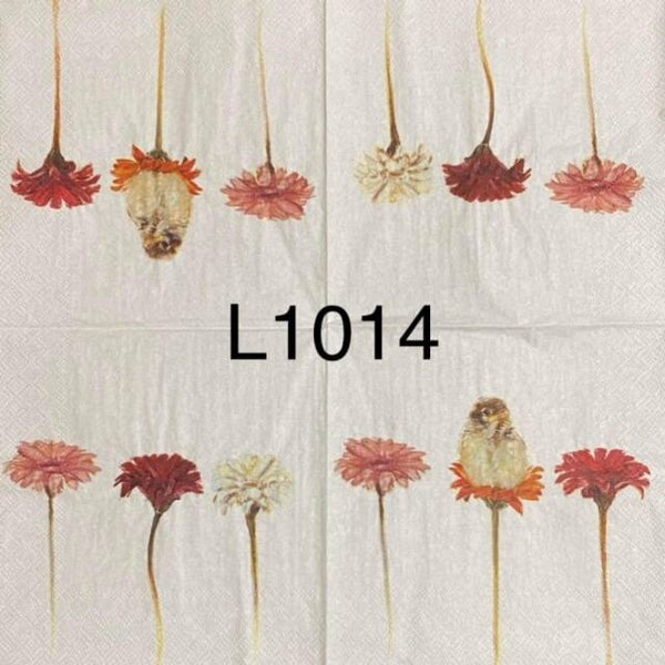 Flowers (L1014) - Daisies with a Hatchling