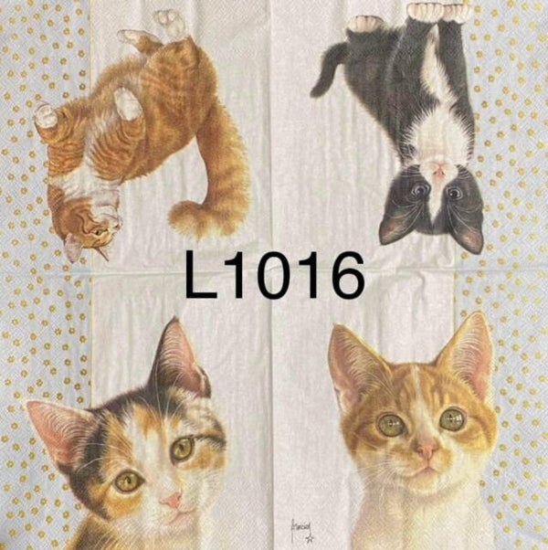 Cats (L1016) - Cats