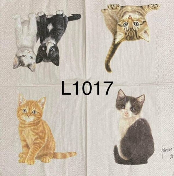 Cats (L1017) - Cats