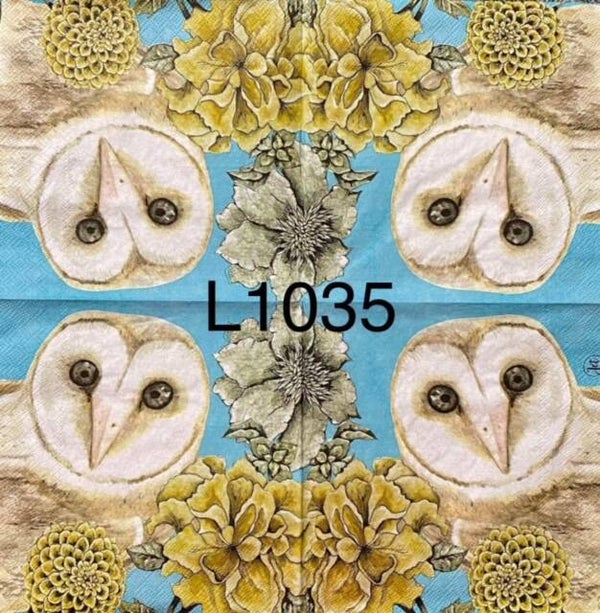 Birds (L1035) - Owl with Blue Background