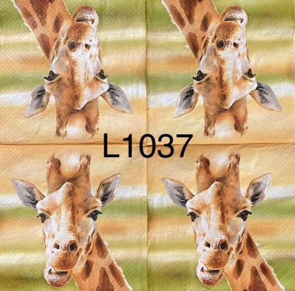 Animals (L1037) - Giraffe