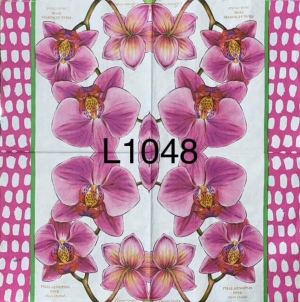 Flowers (L1048) - Pink Orchids