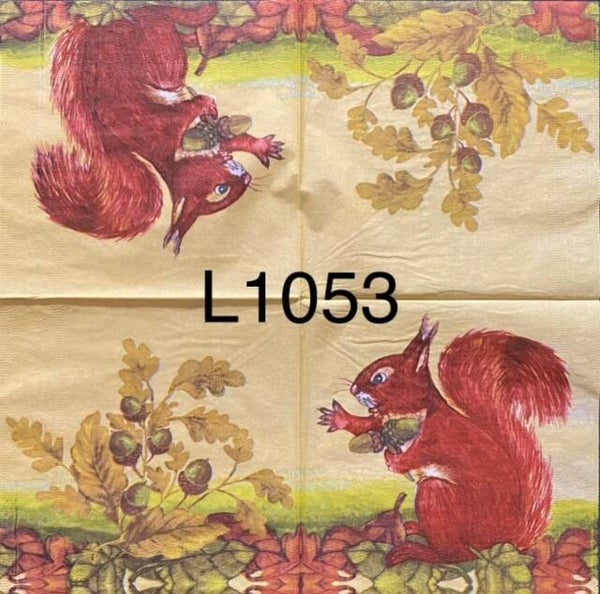 Animals (L1053) - Squirrel Reaching for Acorns