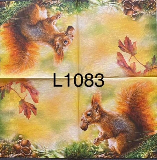 Animals (L1083) - Squirrel Eating Acorns