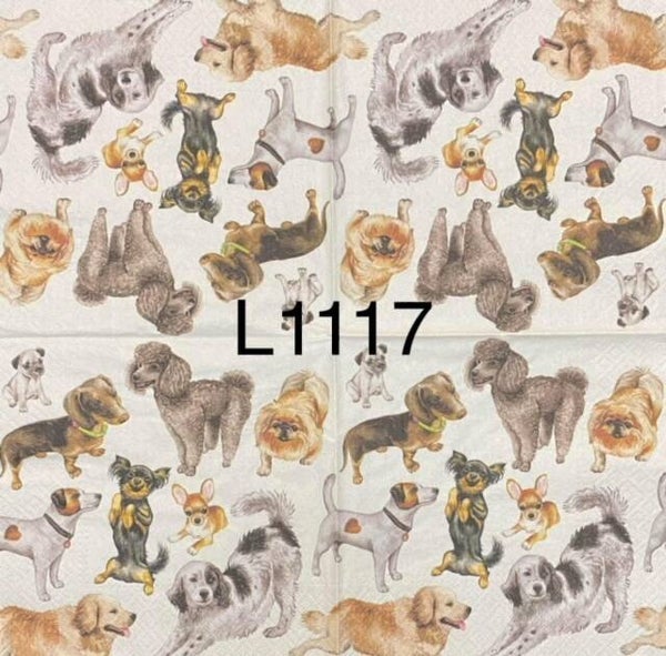 Dogs (L1117) - Dogs