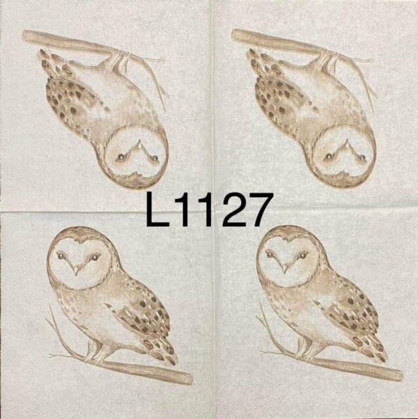 Birds (L1127) - Owl