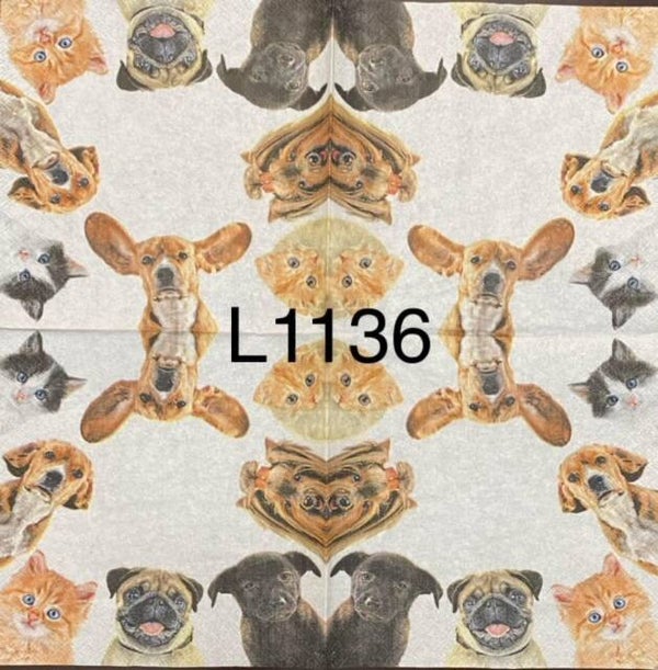 Animals (L1136) - Dogs and Cats