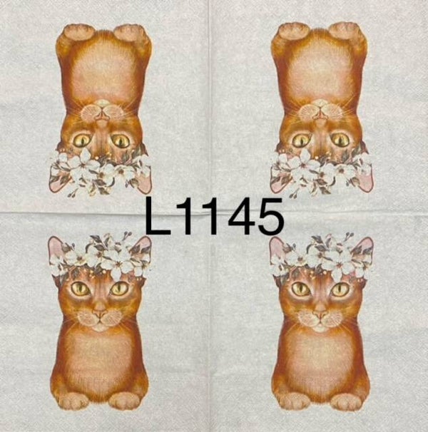 Cats (L1145) - Cat with Flower Headpiece