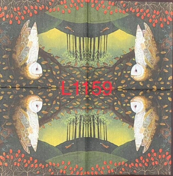 Birds (L1159) - Owl