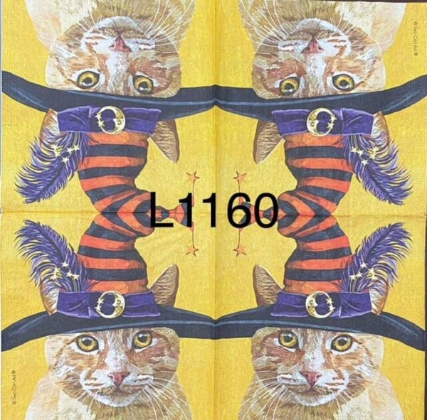 Cats (L1160) - Witch Cat