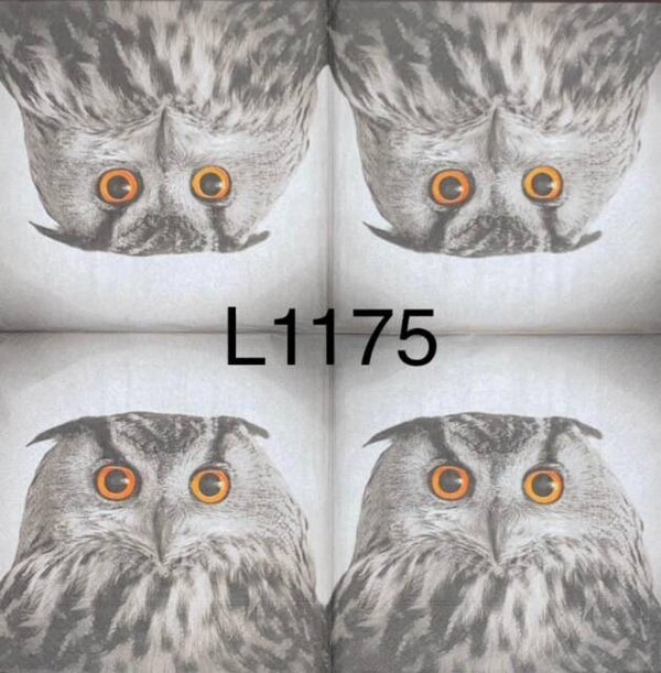 Birds (L1175) - Owl