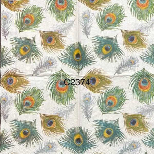 Birds (C2374) - Peacock Feathers