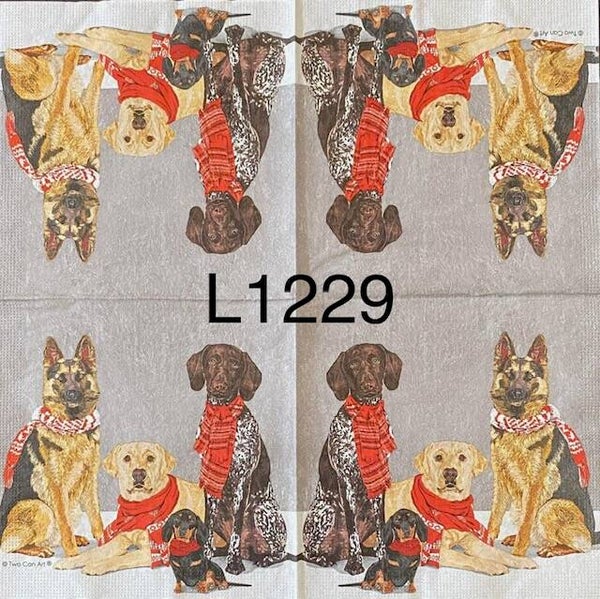 Dogs (L1229) - Winter Dogs with Scarves