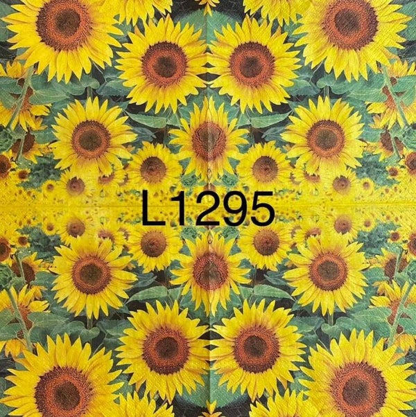 Sunflowers (L1295) - Sunflowers