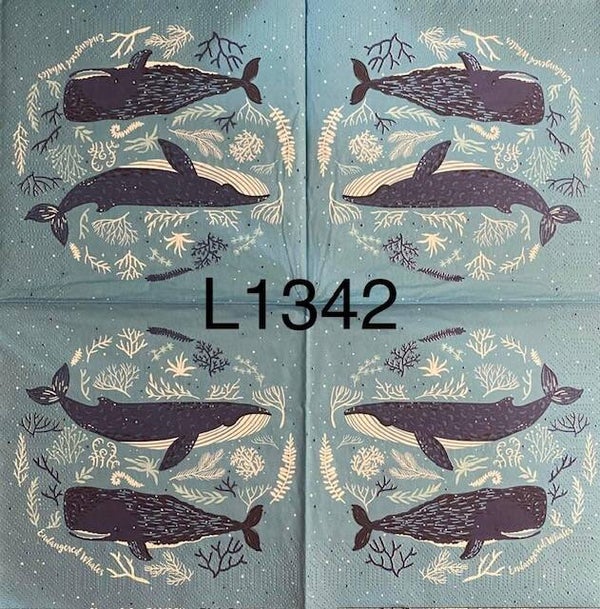 Beach (L1342) - Whales