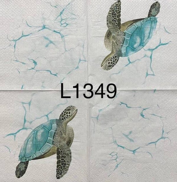 Beach (L1349) - Turtle