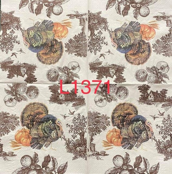 Bargain - Fall (L1371) - Turkey